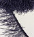 Перо страуса черника